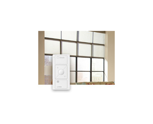 CEP100_ShadesLutron